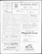 Síða 3