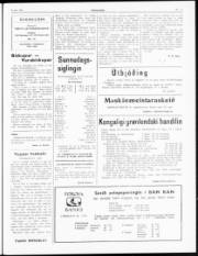 Síða 3