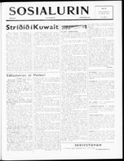 Síða 1