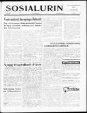 Síða 1