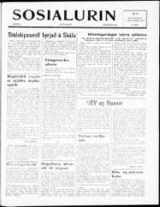 Síða 1