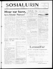 Síða 1