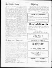 Síða 2
