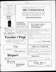 Síða 3