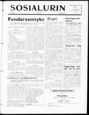 Síða 1