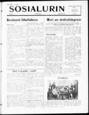 Síða 1