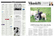 Síða 17