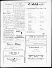 Síða 3