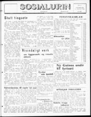 Síða 1