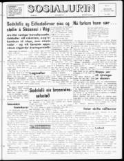 Síða 1