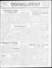 Síða 1