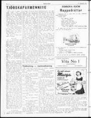 Síða 2