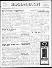 Síða 1