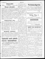 Síða 3