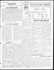 Síða 3