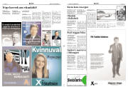 Síða 3