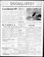 Síða 1