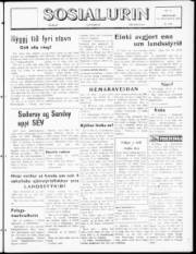 Síða 1