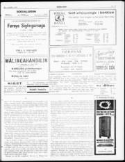 Síða 3