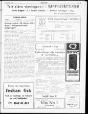 Síða 3