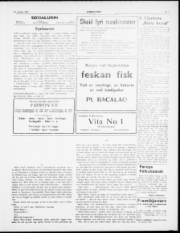 Síða 3