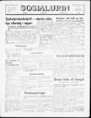 Síða 1