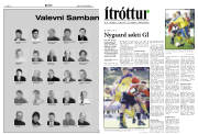 Síða 13