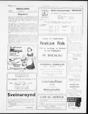 Síða 3