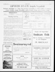 Síða 3