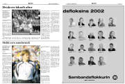 Síða 17
