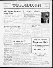 Síða 1