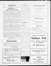 Síða 3
