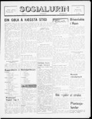 Síða 1