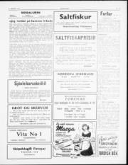 Síða 3