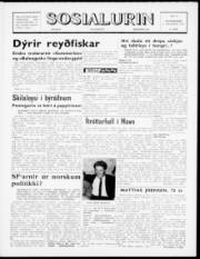 Síða 1