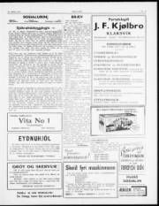 Síða 3