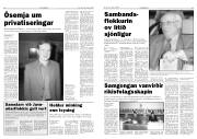 Síða 12