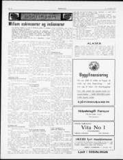 Síða 2