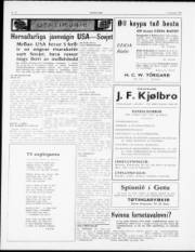 Síða 2