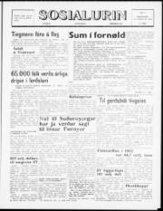 Síða 1