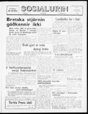 Síða 1