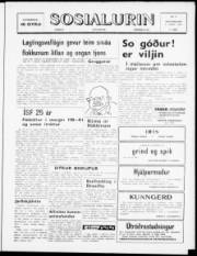 Síða 1