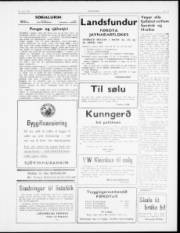 Síða 3