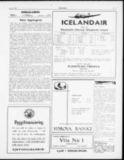 Síða 3