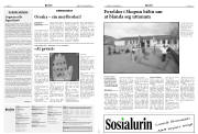 Síða 6