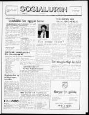 Síða 1
