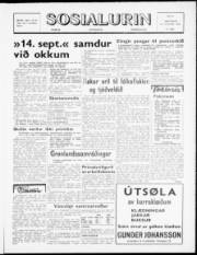 Síða 1