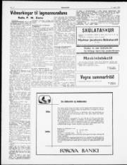 Síða 2