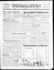 Síða 1