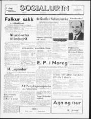 Síða 1